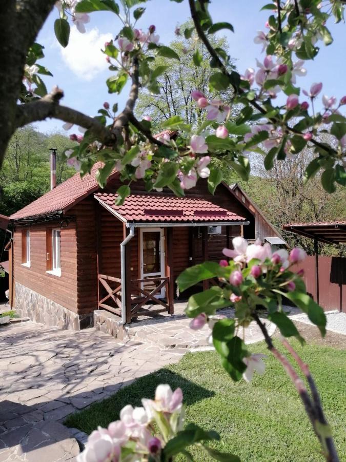 Зачаровані Карпати, Воловець Exterior foto